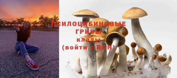 мескалин Баксан
