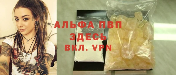 стаф Аркадак