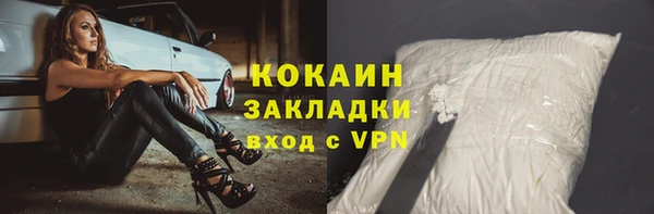стаф Аркадак