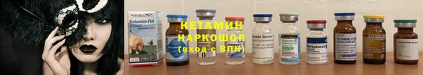 стаф Аркадак