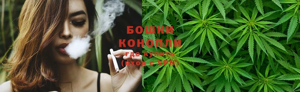 стаф Аркадак