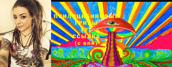ешки Арсеньев