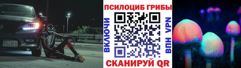 где можно купить наркотик  Балей  Галлюциногенные грибы мицелий 